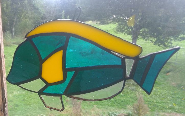 Poisson chirurgien 50€