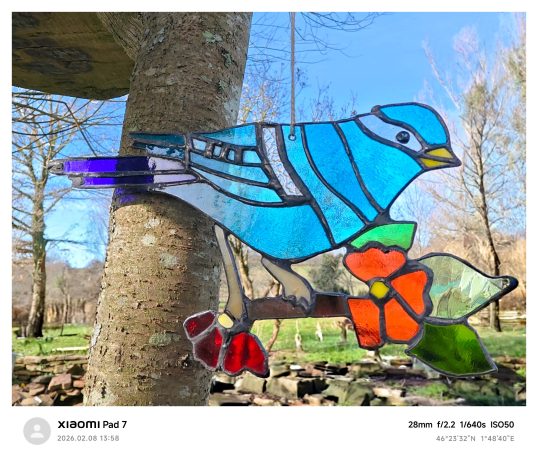 l'Oiseau Bleu 200€